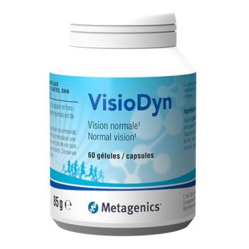 VisioDyn