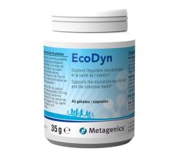 EcoDyn